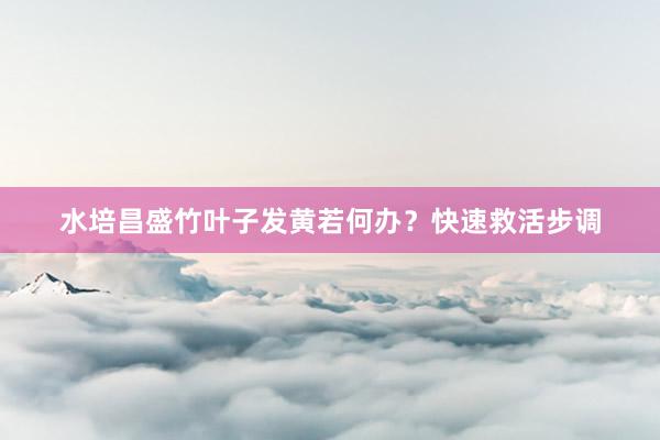 水培昌盛竹叶子发黄若何办？快速救活步调